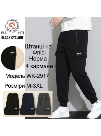 Мужские молодежные спортивные брюки с флисовыми карманами серый, синий, черный